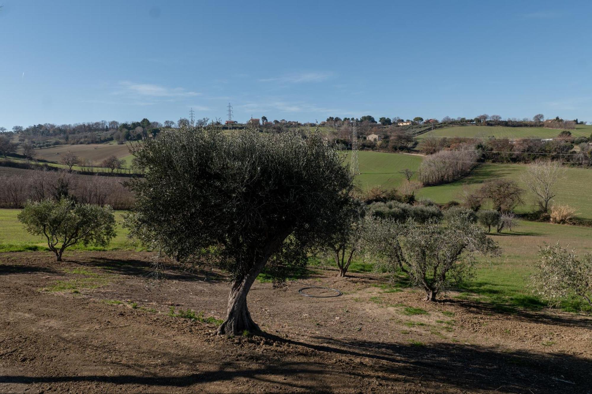 Casa Addis B&B Scapezzano Exterior foto